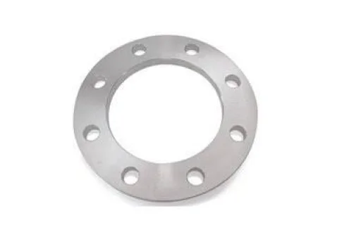 310s Backing Ring Flange